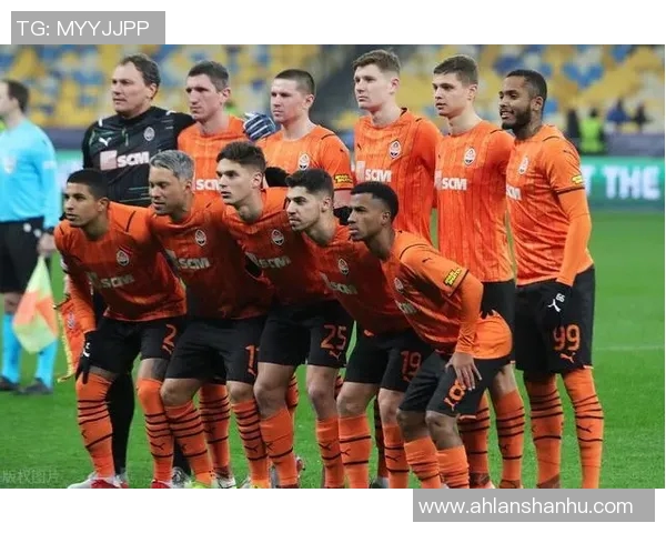 足球明星评价库的获取途径与使用指南详解